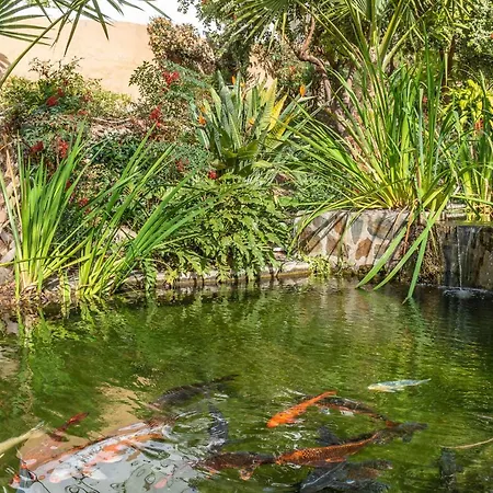 公寓 Rabat 8 Oasis